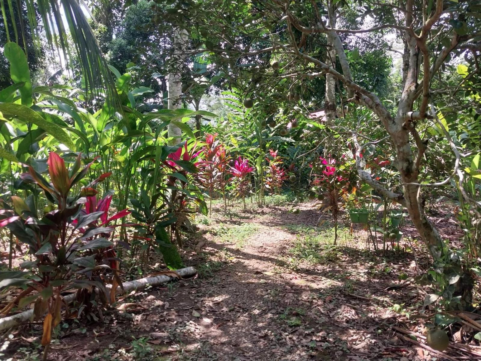 Jardin De Las Musas Пуерто-Мальдонадо Екстер'єр фото