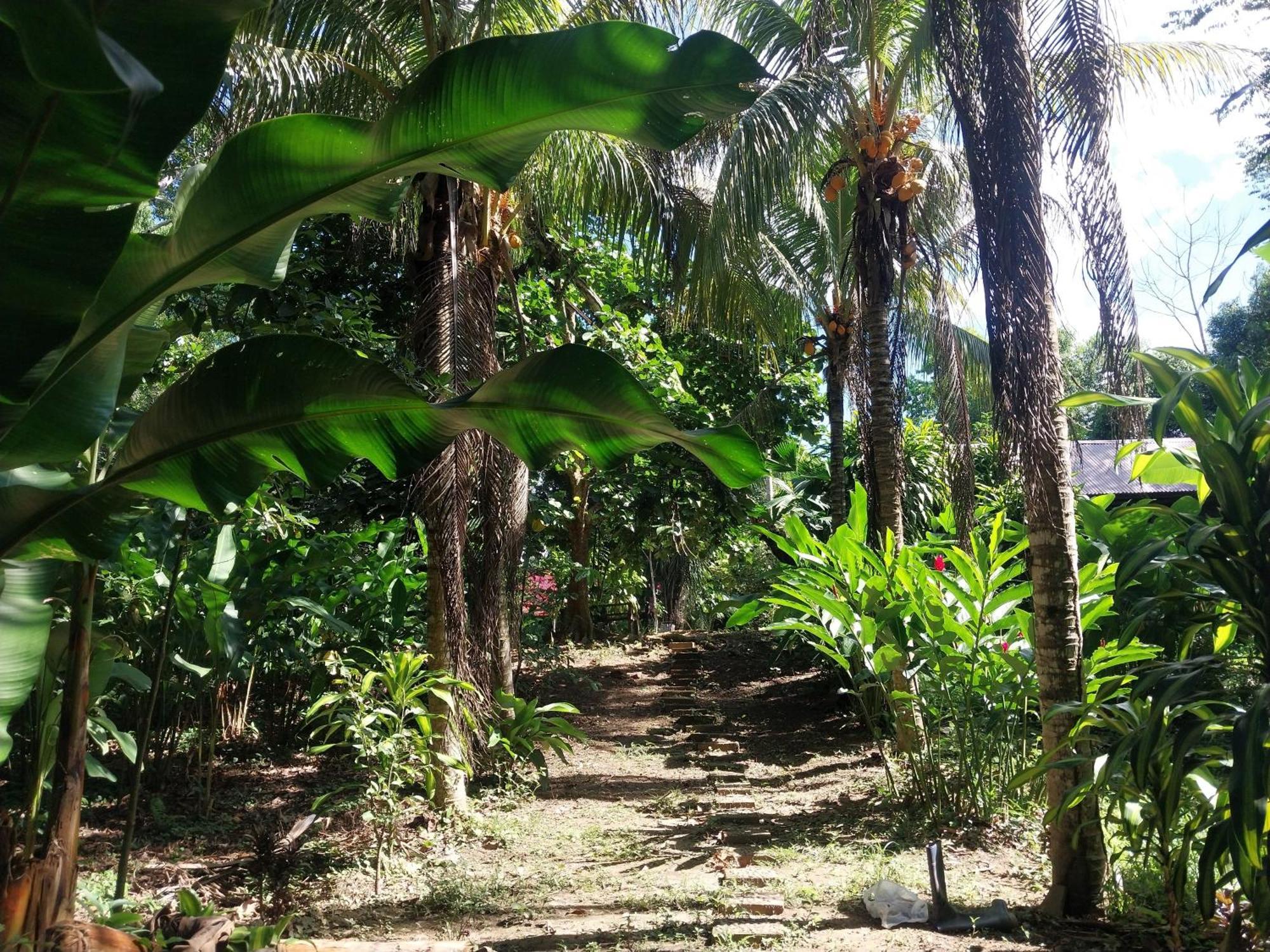 Jardin De Las Musas Пуерто-Мальдонадо Екстер'єр фото